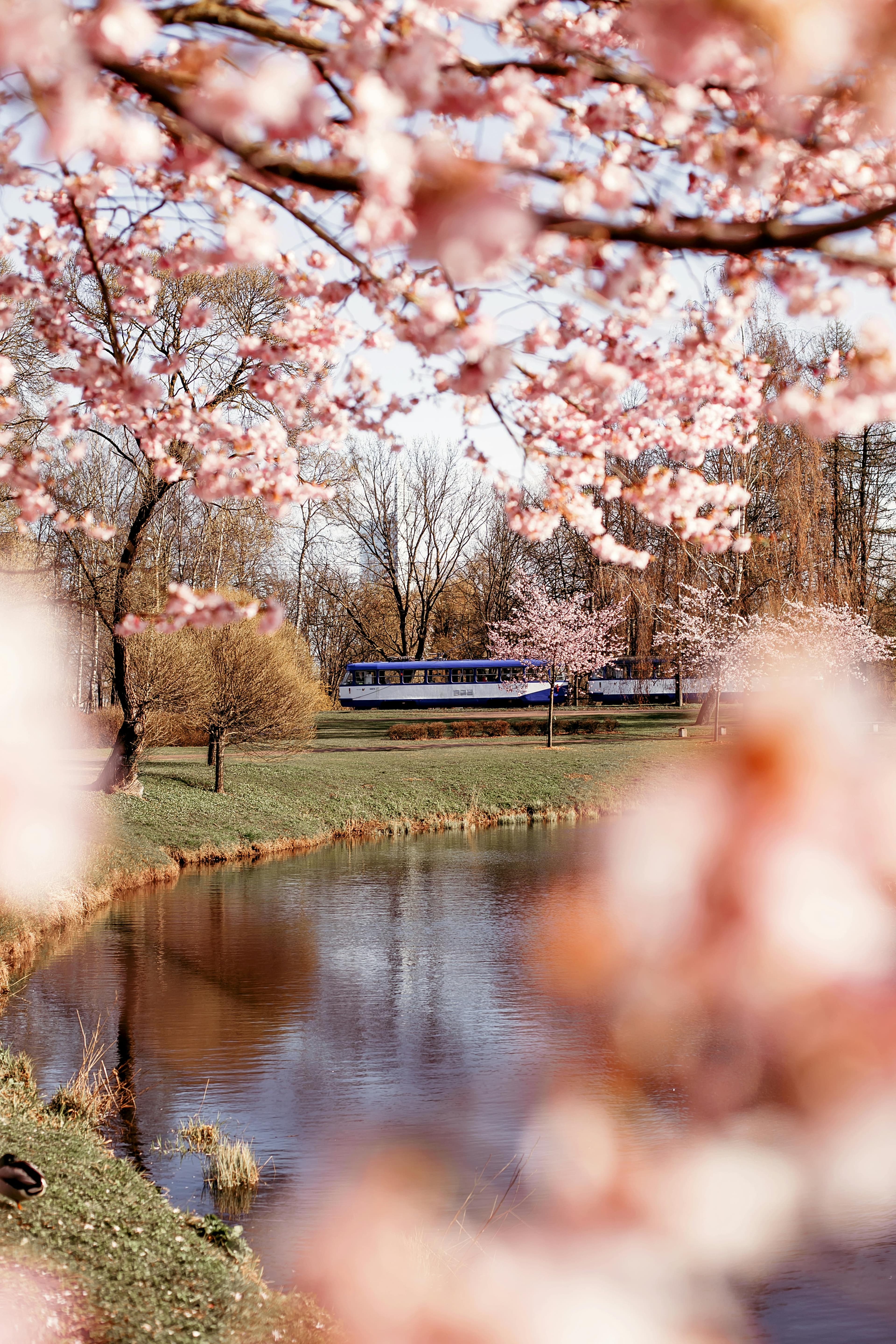 The Millionaire Math: Zero Tax, High Yields, and the Golden Visa Advantage